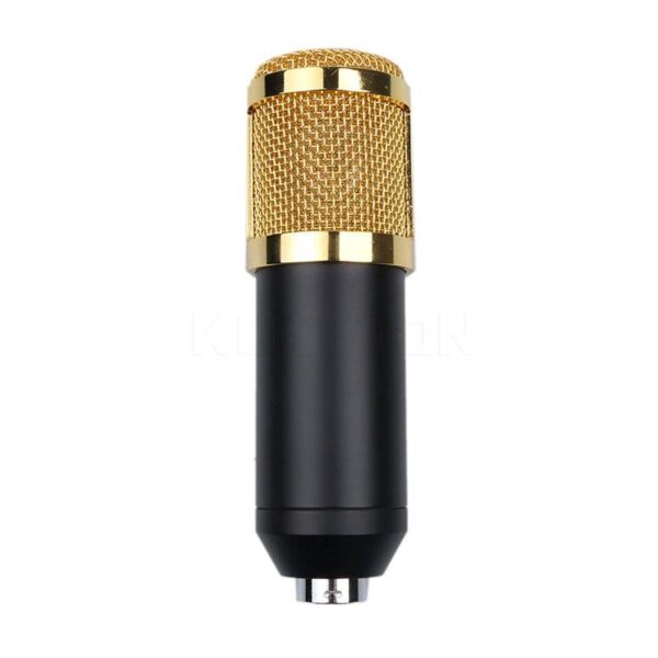 BM800 Professional Microphone Condenser Microphone for Video Radio Studio Computer Recording with Shock Mount + FREE USB Sound Card