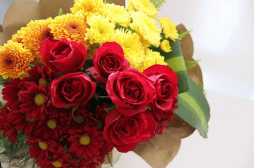 Quickee - Online Marketplace Sri Lanka - Shop Online Sri Lanka