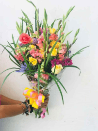Quickee - Online Marketplace Sri Lanka - Shop Online Sri Lanka