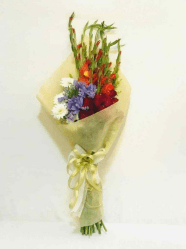 Quickee - Online Marketplace Sri Lanka - Shop Online Sri Lanka