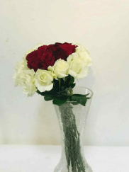 Quickee - Online Marketplace Sri Lanka - Shop Online Sri Lanka