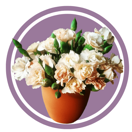 Quickee - Online Marketplace Sri Lanka - Shop Online Sri Lanka