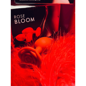 Rose Bloom