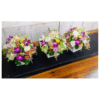 Cart - Quickee Event table pot