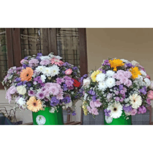 Mix Flower Box
