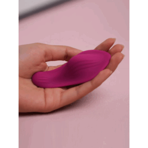 Smart App Control Panty Vibe