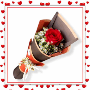 1 Rose