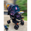 Baby Music Stroller