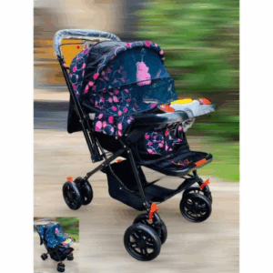 Baby Music Stroller