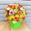 Cart - Quickee Fresh Box Flower Arrangement