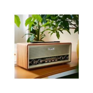RPRD-884BT Radio with USB and Bluetooth