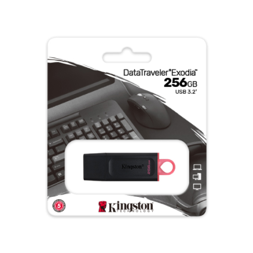 Kingston DTX 256GB Pen Drive - Quickee Kingston DTX 256GB Pen Drive
